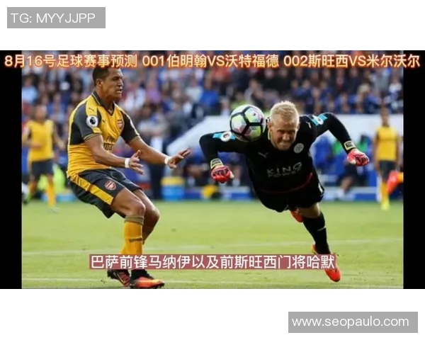 斯旺西与伯明翰比赛前瞻及胜负预测分析详解