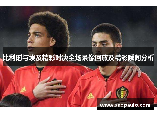 比利时与埃及精彩对决全场录像回放及精彩瞬间分析